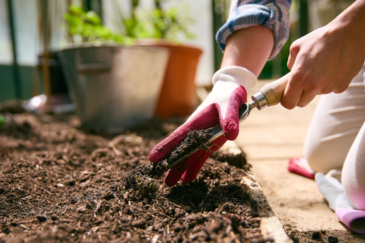 osoba posipa komposište