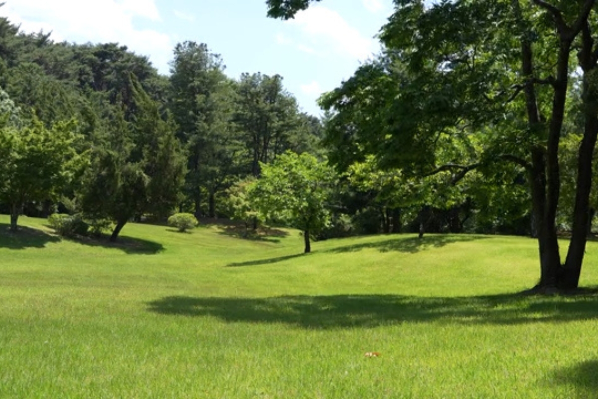 prikaz lepo sređenog travnjaka