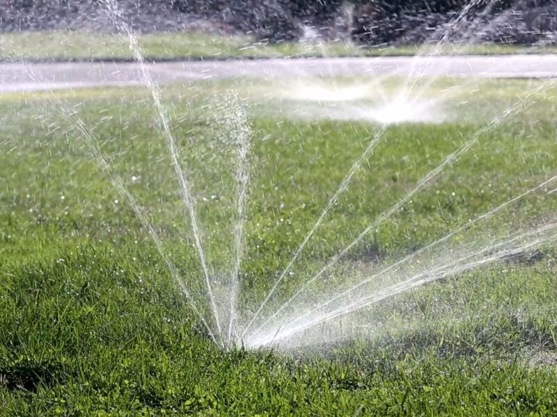 prikaz trave koja se zaliva