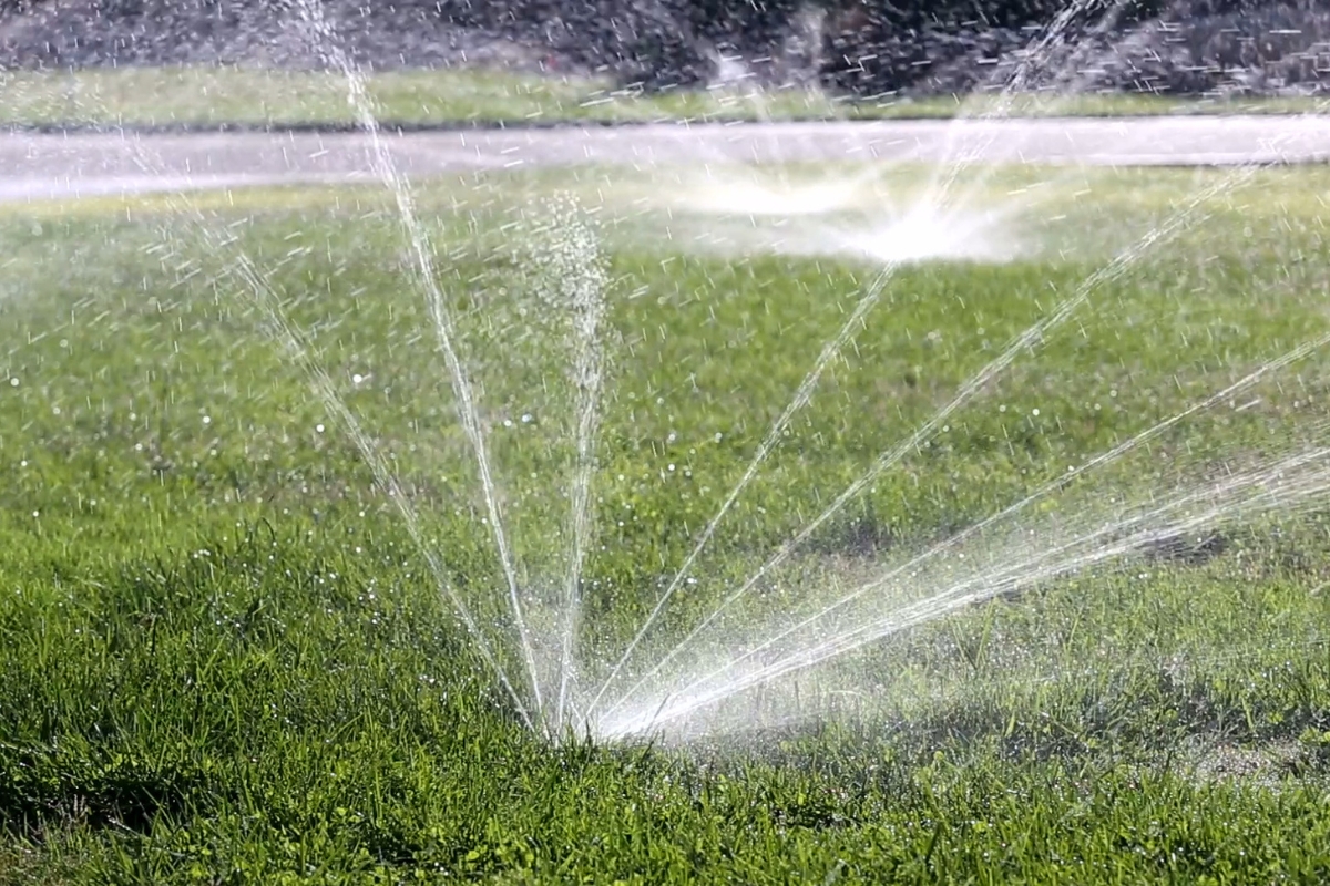 prikaz trave koja se zaliva